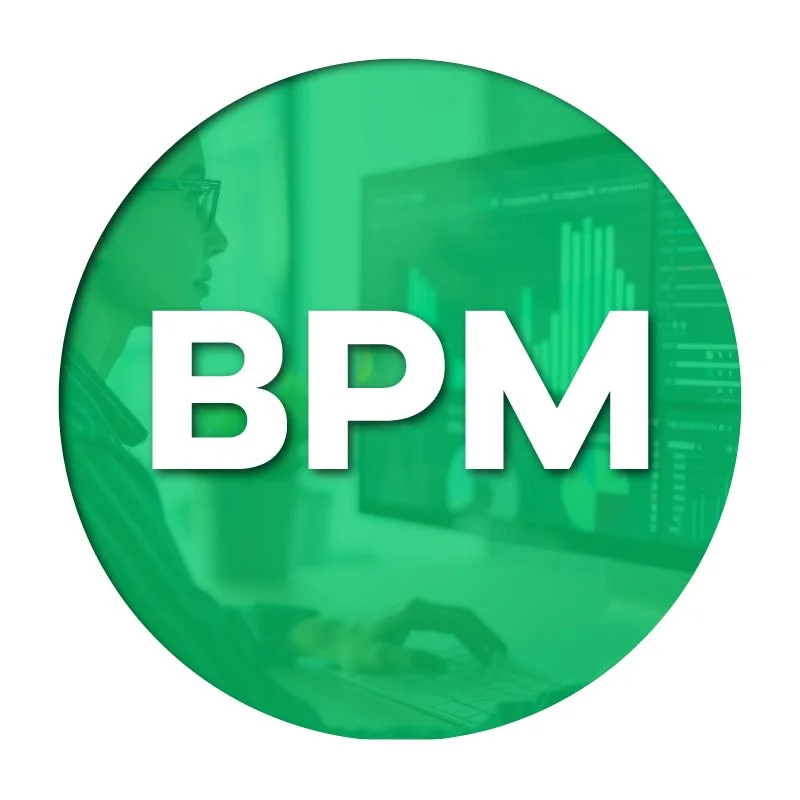 BUSINESS <BR>PROCESS MANAGEMENT