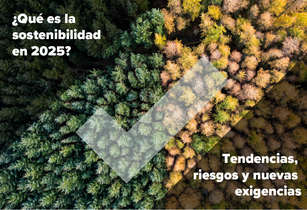 Sostenibilidad: qué significa realmente ser sostenible en 2025