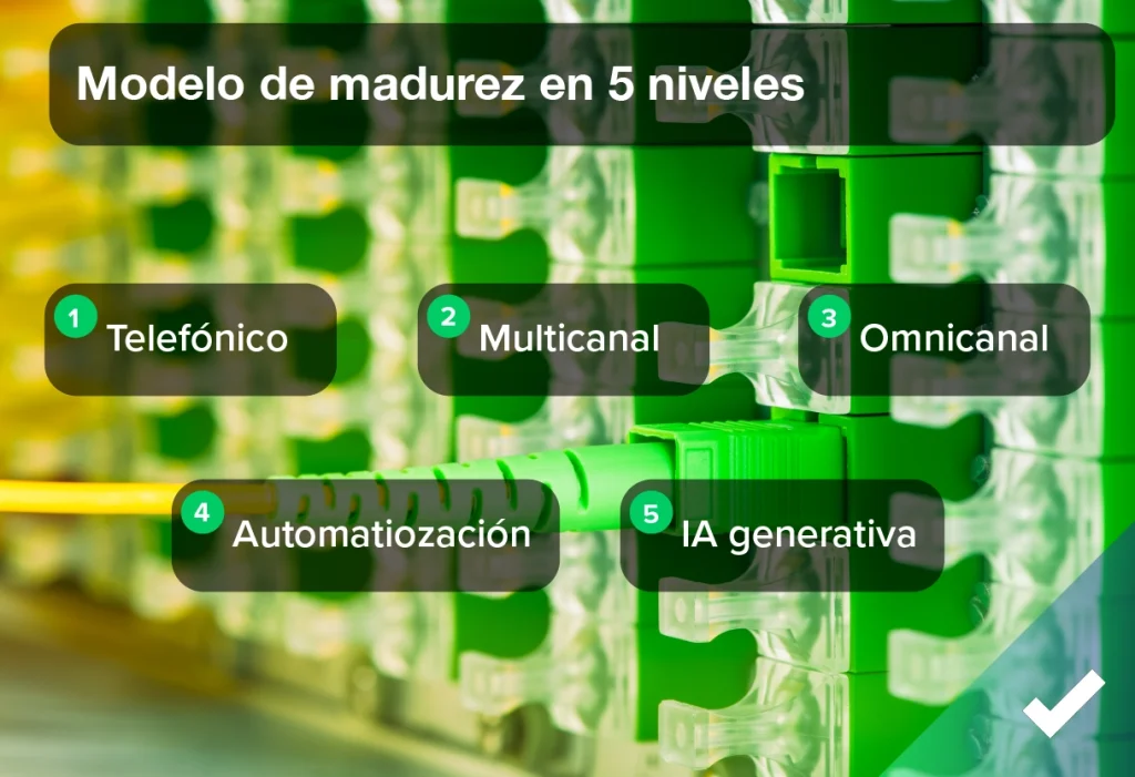Niveles de madurez en la atención 