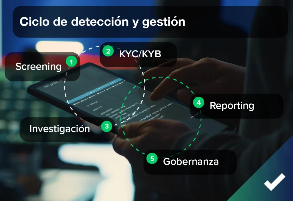 Ciclos de detección en los procesos de detección de irregularidades de financiación
