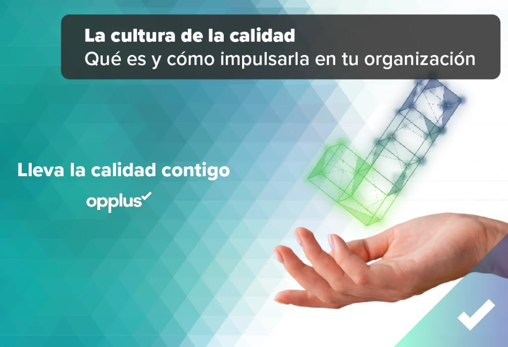 Calidad operativa, mano con check símbolo de la calidad