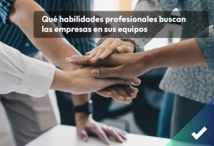 Habilidades profesionales