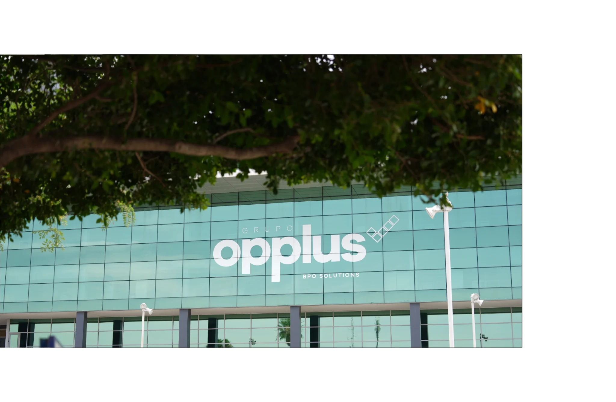 arbol OPPLUS